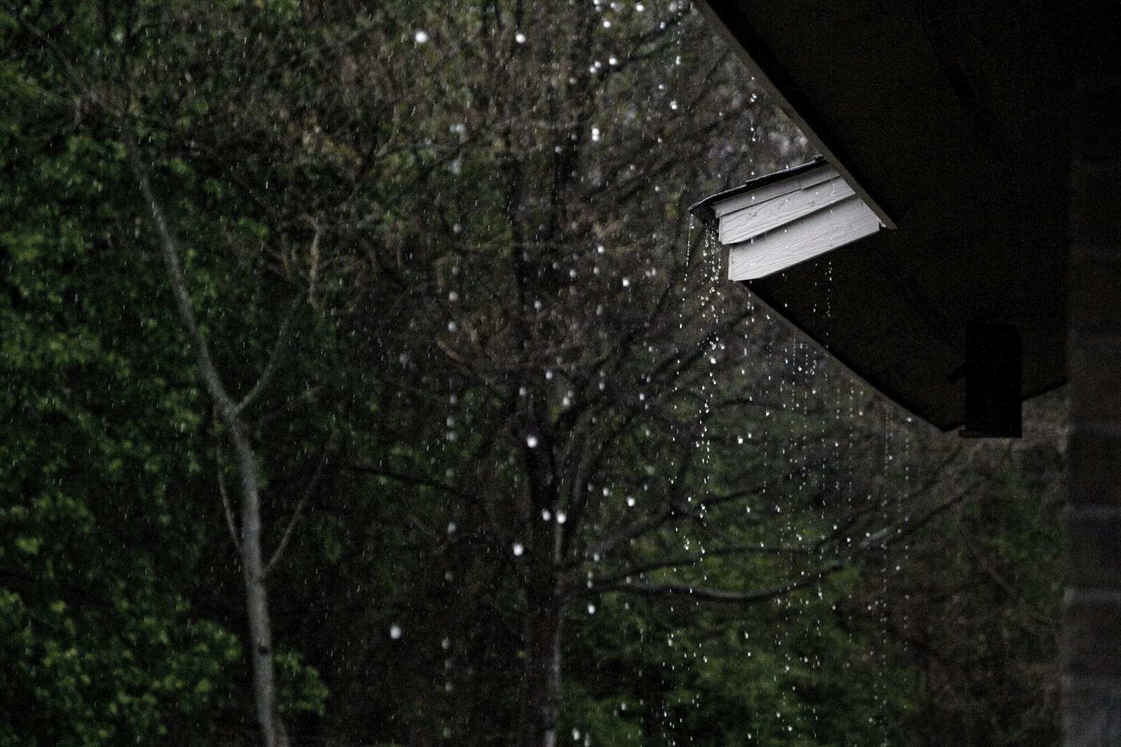 庇は外壁を雨から守る役割がある