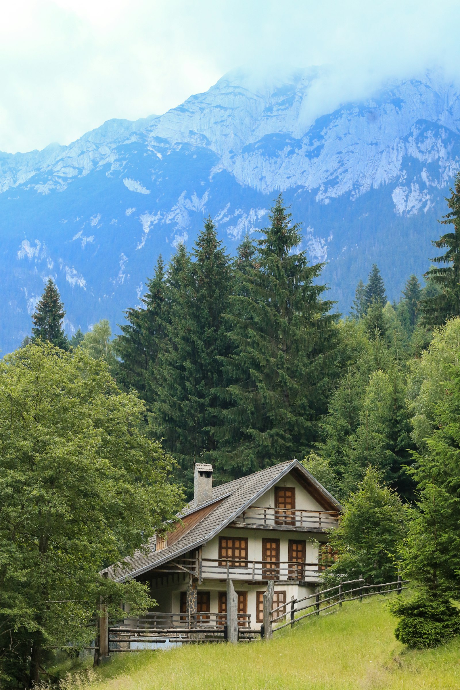 裏に山や森がある土地は落ち葉や枝のメンテが大変