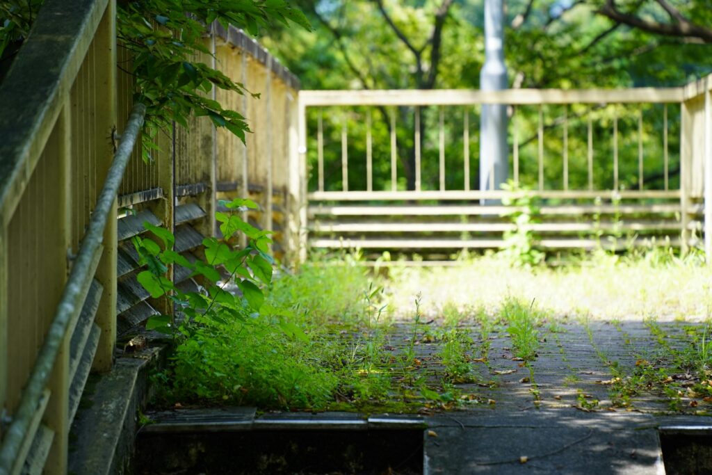 雑草は放置すると草刈りが大変になる